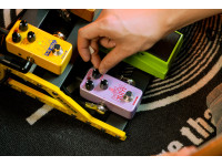 Nux NPO-2 Tutti Polyphonic Octave Pedal Nux NPO-2 Tutti Polyphonic Octave Pedal
